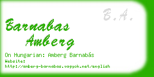 barnabas amberg business card